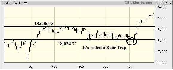 Saved from the “Bear Trap”