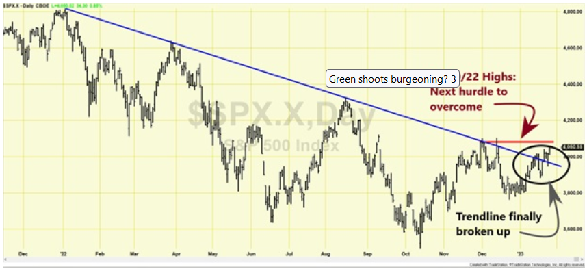 Green shoots burgeoning?